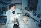 Müllerian Inhibiting Substance Hormone Protects Ovaries From Chemotherapy Drugs in Mice Müllerian Inhibiting Substance Hormone Protects Ovaries From Chemotherapy Drugs in Mice