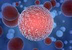Poor Compliance to Adjuvant Chemo Linked to Poorer Survival in Rectal Cancer Poor Compliance to Adjuvant Chemo Linked to Poorer Survival in Rectal Cancer