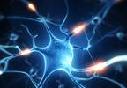 Neuropathic Cancer Pain Linked to Reduced Quality of Life Neuropathic Cancer Pain Linked to Reduced Quality of Life