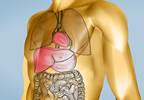 Kinase Inhibitors: Managing Side Effects in GI Cancers Kinase Inhibitors: Managing Side Effects in GI Cancers