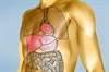 Kinase Inhibitors: Managing Side Effects in GI Cancers Kinase Inhibitors: Managing Side Effects in GI Cancers