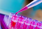 Clinical Trials May Benefit Oncology Patients Clinical Trials May Benefit Oncology Patients