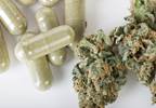 Cannabis Use Becoming More Common Among Older Patients Cannabis Use Becoming More Common Among Older Patients