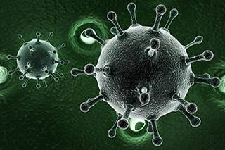 Researchers have found that hepatitis C virus infection is associated with an elevated risk for developing bile duct cancers and diffuse large B-cell lymphoma. Researchers have found that hepatitis C virus infection is associated with an elevated risk for developing bile duct cancers and diffuse large B-cell lymphoma.