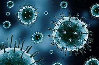 T cell research may shed new light on combatting virus-related cancers. T cell research may shed new light on combatting virus-related cancers.
