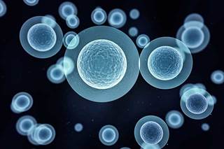 Metabolic health plays an important role in cancer prevention. Metabolic health plays an important role in cancer prevention.