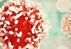 Apixaban Significantly Lowers Risk of Venous Thromboembolism in High-Risk Patients Apixaban Significantly Lowers Risk of Venous Thromboembolism in High-Risk Patients