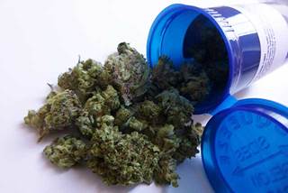 The integration of cannabis into palliative care appears promising in terms of its therapeutic properties to assuage cancer-related pain. The integration of cannabis into palliative care appears promising in terms of its therapeutic properties to assuage cancer-related pain.