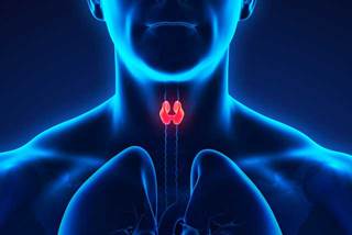 Researchers found that LND >0.19 was independently associated with worse disease-specific and overall survival. Researchers found that LND >0.19 was independently associated with worse disease-specific and overall survival.