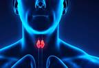 Male Thyroid Cancer Survivors Face Higher CVD Risk Male Thyroid Cancer Survivors Face Higher CVD Risk
