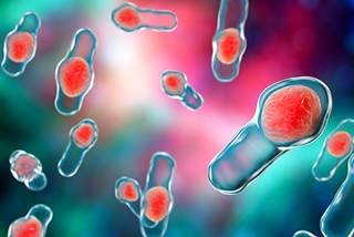 <i>C difficile</i> infection in the 30-day postoperative period was significantly higher in patients undergoing stoma reversal. <i>C difficile</i> infection in the 30-day postoperative period was significantly higher in patients undergoing stoma reversal.