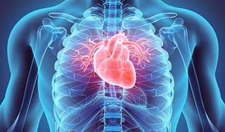 Researchers assessed outcomes of elderly patients with breast cancer to identify the correlation between cardiovascular disease risk factors and overall survival in survivors older than 66. Researchers assessed outcomes of elderly patients with breast cancer to identify the correlation between cardiovascular disease risk factors and overall survival in survivors older than 66.