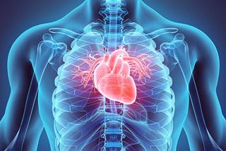Carfilzomib is becoming more prevalent in the treatment of RRMM, but more research into its relationship with CV risk is required. Carfilzomib is becoming more prevalent in the treatment of RRMM, but more research into its relationship with CV risk is required.