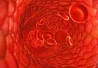 Patients Identify Critical Elements of Support in Hematologic Cancers Patients Identify Critical Elements of Support in Hematologic Cancers