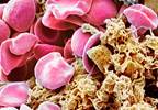 Ruxolitinib Not Superior to Second-line Treatments for Essential Thrombocythemia Ruxolitinib Not Superior to Second-line Treatments for Essential Thrombocythemia