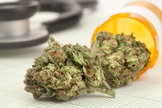 A lack of standards on formulations, dosing, and potency remains a barrier to the use of cannabis to treat pediatric cancer. A lack of standards on formulations, dosing, and potency remains a barrier to the use of cannabis to treat pediatric cancer.