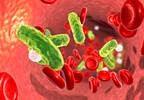 Peer-Driven Education Leads to Improved Sepsis Bundle Compliance, Outcomes Peer-Driven Education Leads to Improved Sepsis Bundle Compliance, Outcomes