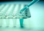 Self-efficacy Measure May Be Used to Drive Interventions Post-SCT in Hematologic Cancers Self-efficacy Measure May Be Used to Drive Interventions Post-SCT in Hematologic Cancers