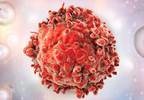Bendamustine Plus Obinutuzumab, Venetoclax Shows Therapeutic Potential in CLL Bendamustine Plus Obinutuzumab, Venetoclax Shows Therapeutic Potential in CLL