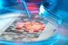 NIH Establishes Educational Program on Genomics, Genetics for Oncology Nurses NIH Establishes Educational Program on Genomics, Genetics for Oncology Nurses