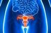 Adding Trastuzumab to Uterine Serous Carcinoma Treatment Extended PFS Adding Trastuzumab to Uterine Serous Carcinoma Treatment Extended PFS