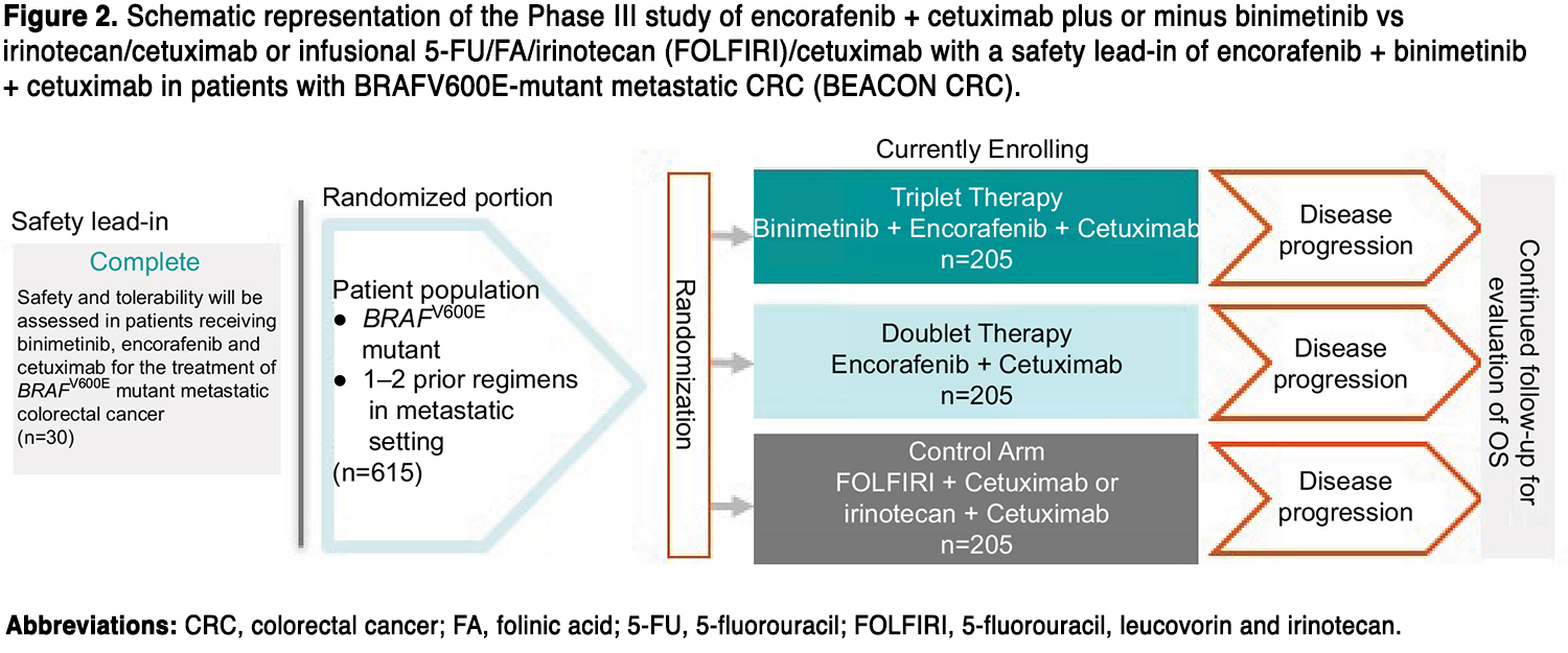 Emerging Treatment Options for BRAFmutant Colorectal Cancer ONA