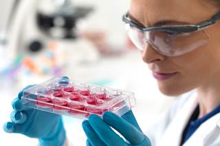 A retrospective follow-up study demonstrates that tandem autologous-allogeneic is safe for standard and high-risk multiple myeloma. A retrospective follow-up study demonstrates that tandem autologous-allogeneic is safe for standard and high-risk multiple myeloma.