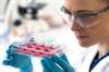 Tandem Autologous-Allogenic HCT Offers Long-Term Remission in Multiple Myeloma Tandem Autologous-Allogenic HCT Offers Long-Term Remission in Multiple Myeloma