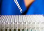 Long-Term Azithromycin May Increase Risk of Relapse of Blood Cancers After HSCT Long-Term Azithromycin May Increase Risk of Relapse of Blood Cancers After HSCT