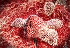 Assessment Tool for Immunotherapy Side Effects Assessment Tool for Immunotherapy Side Effects
