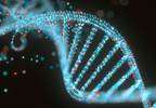 High Expression of DNA Repair Genes at Diagnosis Predictive of Early Relapse in Pediatric ALL High Expression of DNA Repair Genes at Diagnosis Predictive of Early Relapse in Pediatric ALL