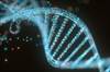 High Expression of DNA Repair Genes at Diagnosis Predictive of Early Relapse in Pediatric ALL High Expression of DNA Repair Genes at Diagnosis Predictive of Early Relapse in Pediatric ALL